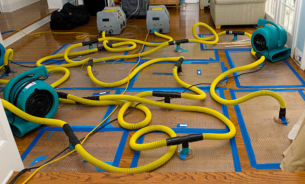 Professional Sewage Cleanup technician working in Cranston, RI